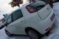 Fiat Punto 1,2 69 Easy Weiß - thumbnail 5