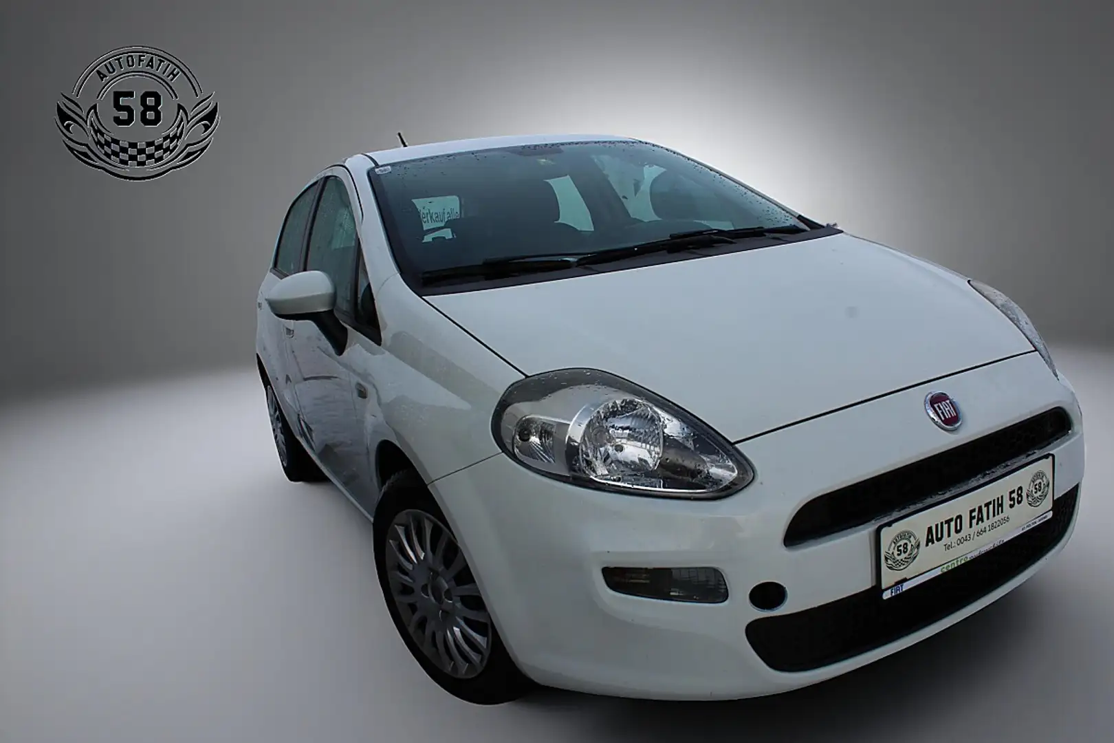 Fiat Punto 1,2 69 Easy Weiß - 1