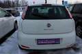 Fiat Punto 1,2 69 Easy Weiß - thumbnail 7