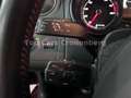 SEAT Ibiza 1.4 TSI FR*Autom.*Leder*Pano*AHK*Bi-Xenon* Rot - thumbnail 12