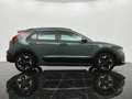 Kia e-Niro EV 64.8kWh DynamicLine (SOH 100%) - Navigatie - Ca Vert - thumbnail 11