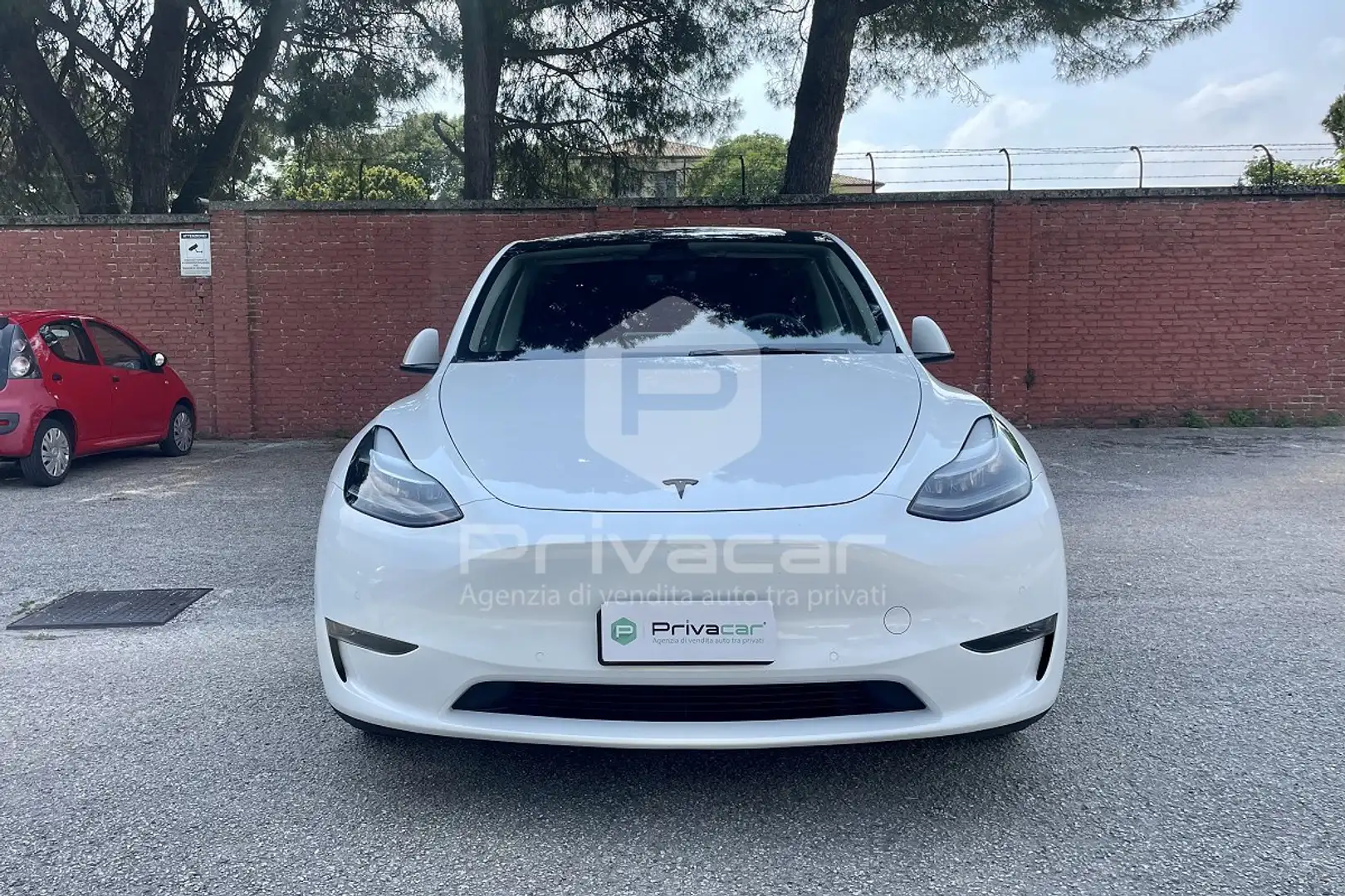 Tesla Model Y Model Y Performance AWD Weiß - 2