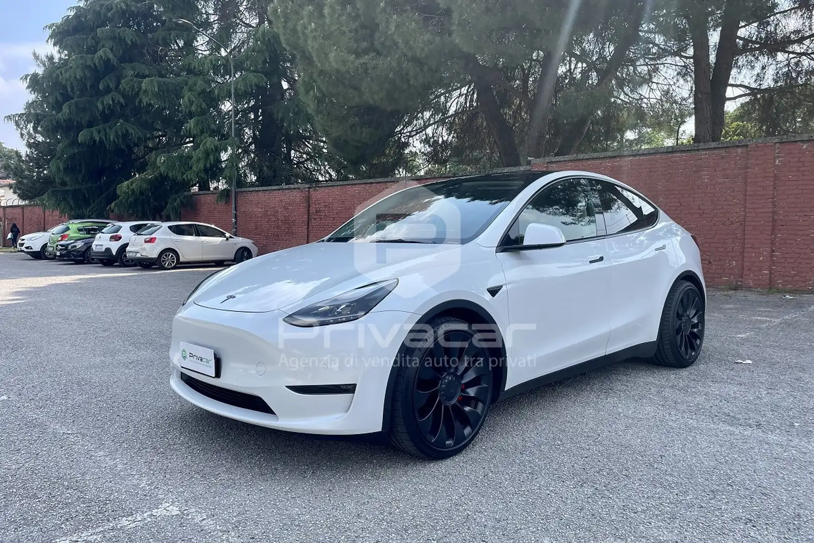 Tesla Model Y Model Y Performance AWD Weiß - 1