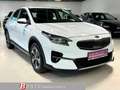 Kia XCeed 1.6 PHEV Plug-in Hybrid Vision Weiß - thumbnail 1