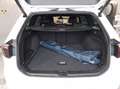Volkswagen Passat Variant Elegance TDi Leder Nappa Matrix Weiß - thumbnail 7