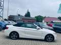 BMW 220 d Cabrio Sport Line*LEDER*NAVI*BI-XENON*PDC Weiß - thumbnail 6