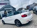 BMW 220 d Cabrio Sport Line*LEDER*NAVI*BI-XENON*PDC Weiß - thumbnail 4
