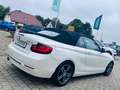 BMW 220 d Cabrio Sport Line*LEDER*NAVI*BI-XENON*PDC Weiß - thumbnail 5