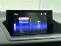 Lexus CT 200h Business Line | 16 LM Velgen | Achteruitrijcamera Rood - thumbnail 27