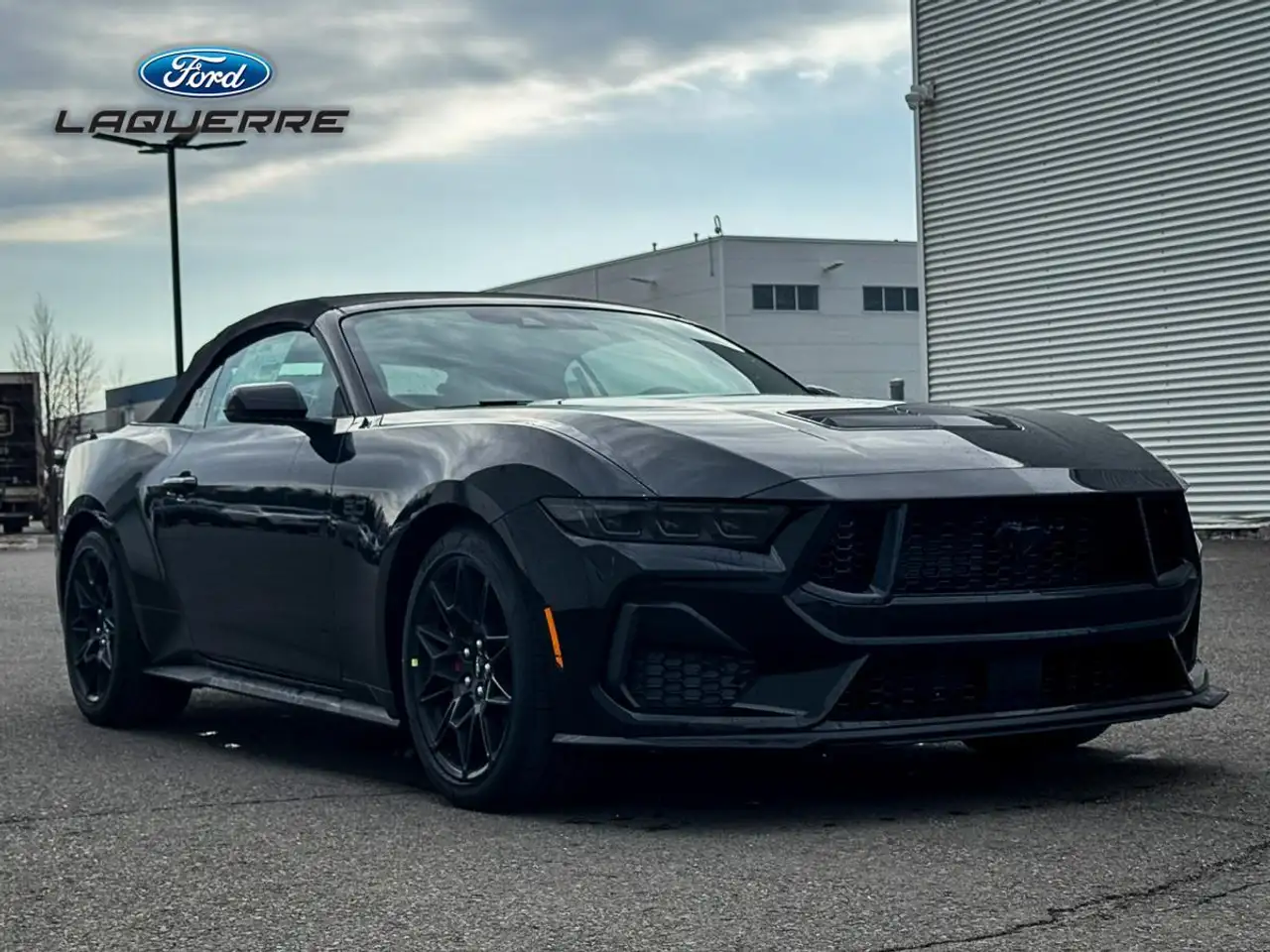 Ford Mustang снимка Ford Mustang
