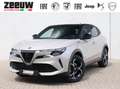 Alfa Romeo Junior 1.2 Turbo 136 PK Ibrida Speciale | Techno | Direct Grijs - thumbnail 1