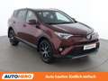 Toyota RAV 4 2.5 Hybrid Lounge Rot - thumbnail 8