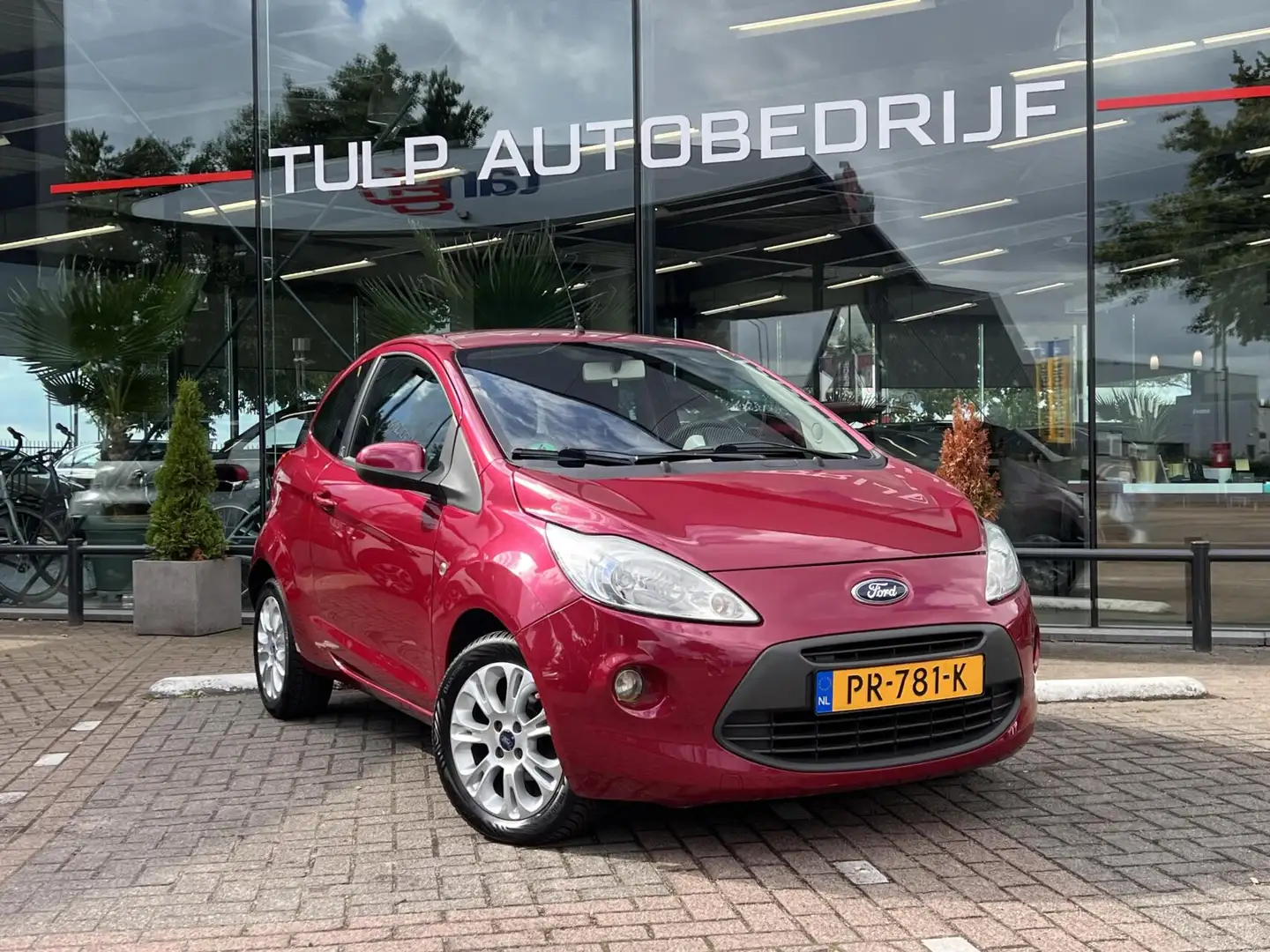 Ford Ka/Ka+ 1.2 Titanium Style Pack NWE distr. riem All Season Rood - 2
