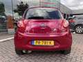 Ford Ka/Ka+ 1.2 Titanium Style Pack NWE distr. riem All Season Rood - thumbnail 14