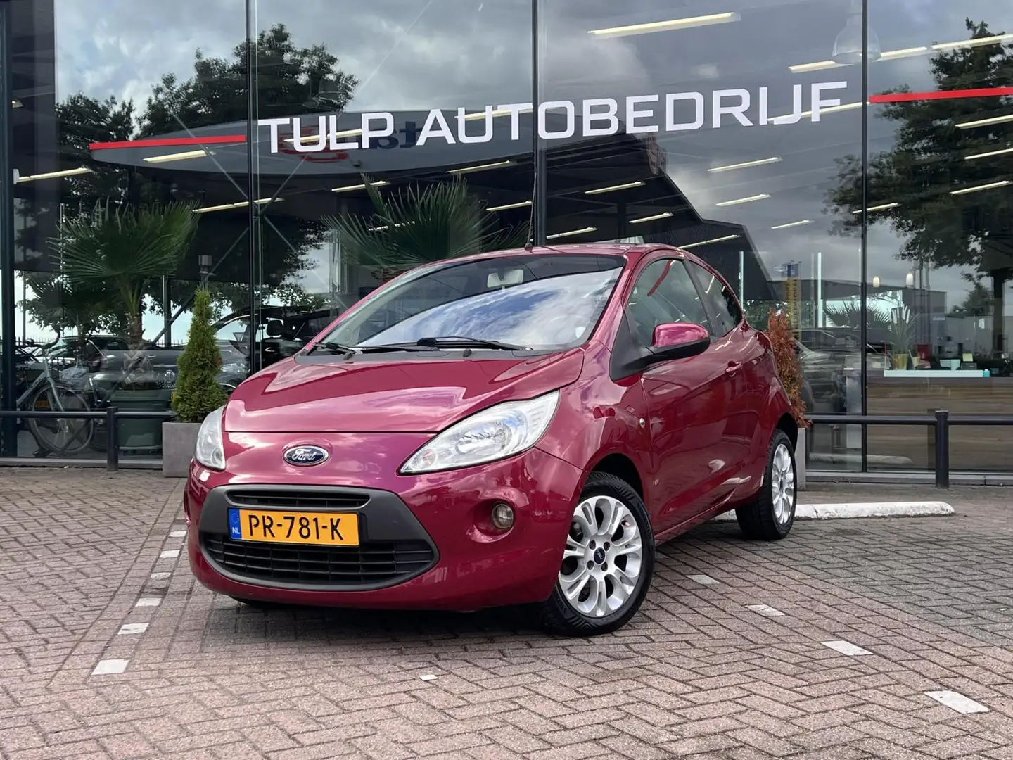Ford Ka/Ka+ 1.2 Titanium Style Pack NWE distr. riem All Season Rood - 1
