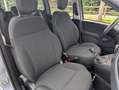 Fiat Panda 1.0 Hybrid Km 5293 Tagliandata Nazionale E6d Grigio - thumbnail 11
