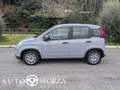Fiat Panda 1.0 Hybrid Km 5293 Tagliandata Nazionale E6d Grigio - thumbnail 6