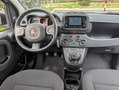 Fiat Panda 1.0 Hybrid Km 5293 Tagliandata Nazionale E6d Grigio - thumbnail 9
