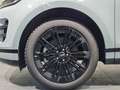 Land Rover Range Rover Evoque D200 Dynamic SE Grau - thumbnail 10