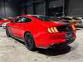 Ford Mustang Fastback V8 5.0 BVA10 GT Rouge - thumbnail 7