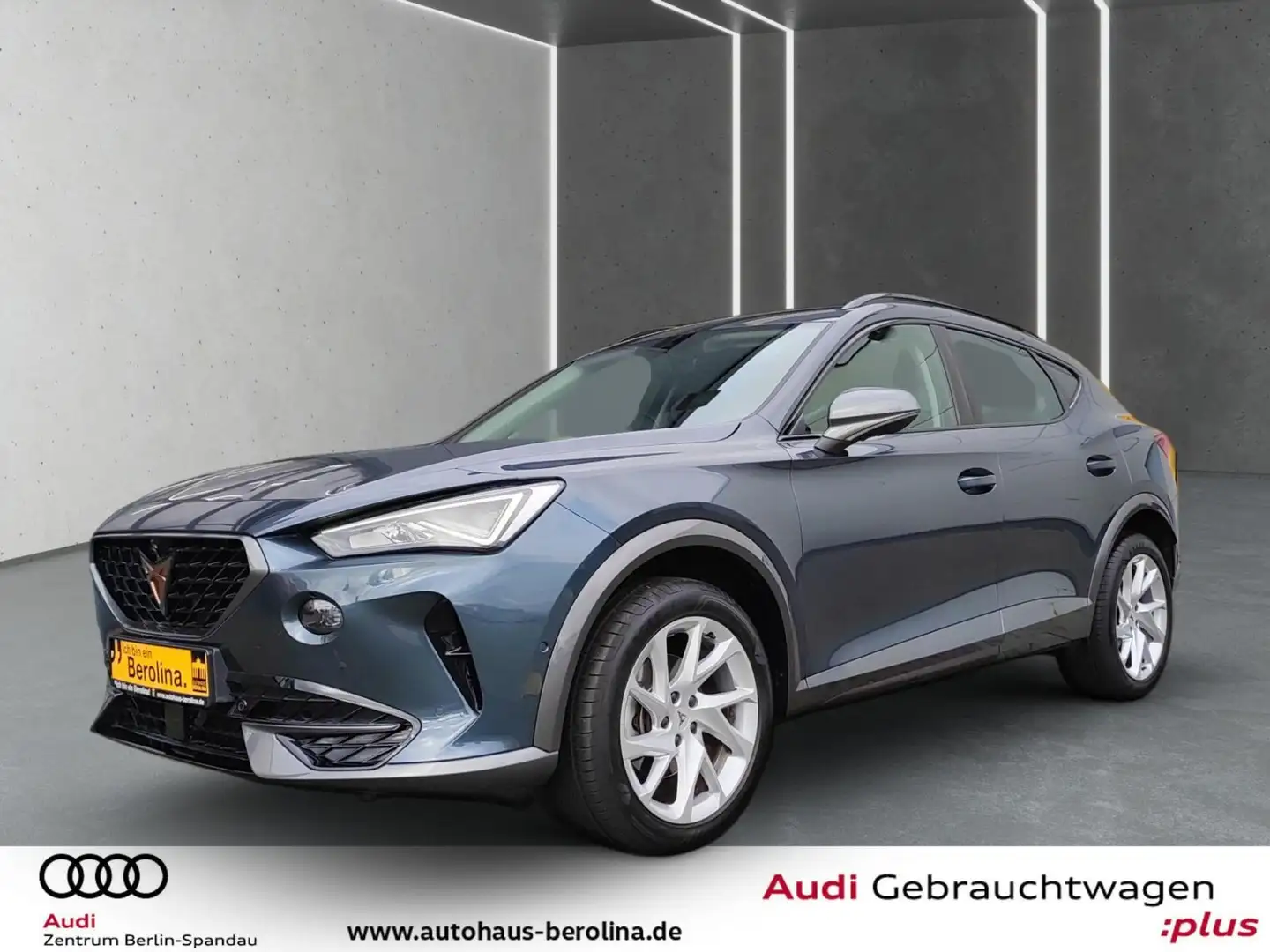 CUPRA Formentor 1.5 TSI DSG *AHK*360°*NAV+*PDC*SHZ* Grijs - 2