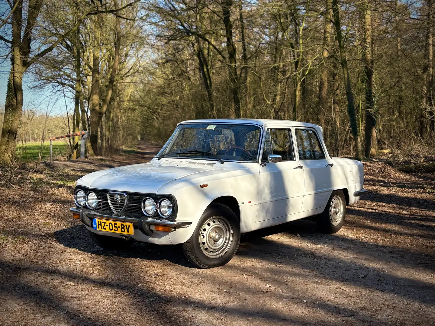 Alfa Romeo Giulia Giulia 1.6 L Weiß - 2