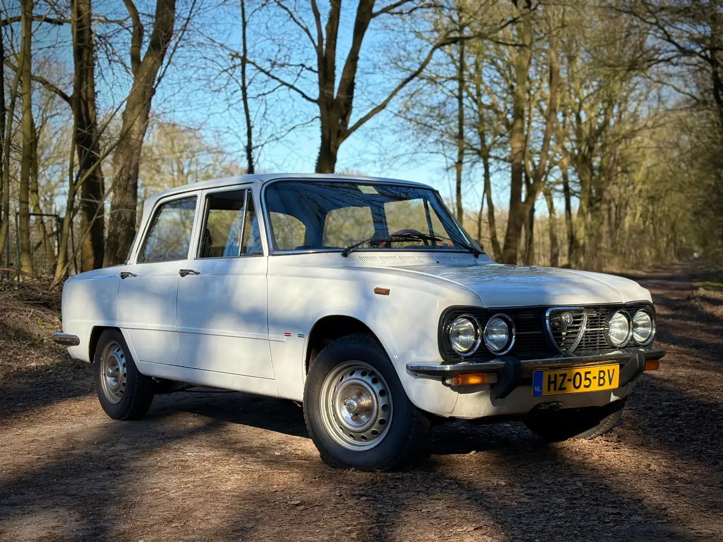 Alfa Romeo Giulia Giulia 1.6 L Weiß - 1