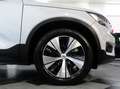 Volvo XC40 1.5 BZ T4 211 CV PHEV INSCRIPTION EXPRESSION Grigio - thumbnail 20