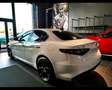 Alfa Romeo Giulia 2.2 Turbo Tributo Italiano Blanco - thumbnail 7