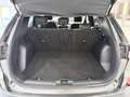 Ford Kuga 1.5 EcoBoost ST-Line FWD 150 Gris - thumbnail 7