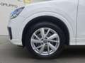 Audi Q2 Q2 I 2017 1.6 tdi Sport s-tronic Bianco - thumbnail 22