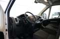Fiat Ducato 35 2.3 MultiJet L3/H2 CAMERA NAVI AIRCO CRUISE CON Wit - thumbnail 7