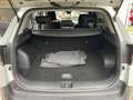 Kia Sportage Sportage V 2022 1.6 tgdi mhev Business imt - thumbnail 18
