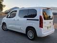 Toyota Proace City Combi L1 1.5D VX 100 Blanco - thumbnail 19