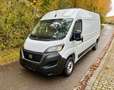Fiat Ducato L3H2 2.2 M-Jet 140PS 2022 Weiß - thumbnail 1