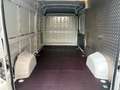 Fiat Ducato L3H2 2.2 M-Jet 140PS 2022 Weiß - thumbnail 7