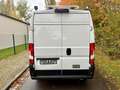 Fiat Ducato L3H2 2.2 M-Jet 140PS 2022 Weiß - thumbnail 5