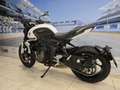 Triumph Trident 660 - 07/2021- Km 6000 - thumbnail 5
