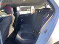 Volkswagen Golf Golf 1.4 TGI 5p. Comfortline BlueMotion Blanc - thumbnail 13