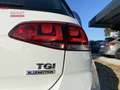 Volkswagen Golf Golf 1.4 TGI 5p. Comfortline BlueMotion Blanc - thumbnail 17