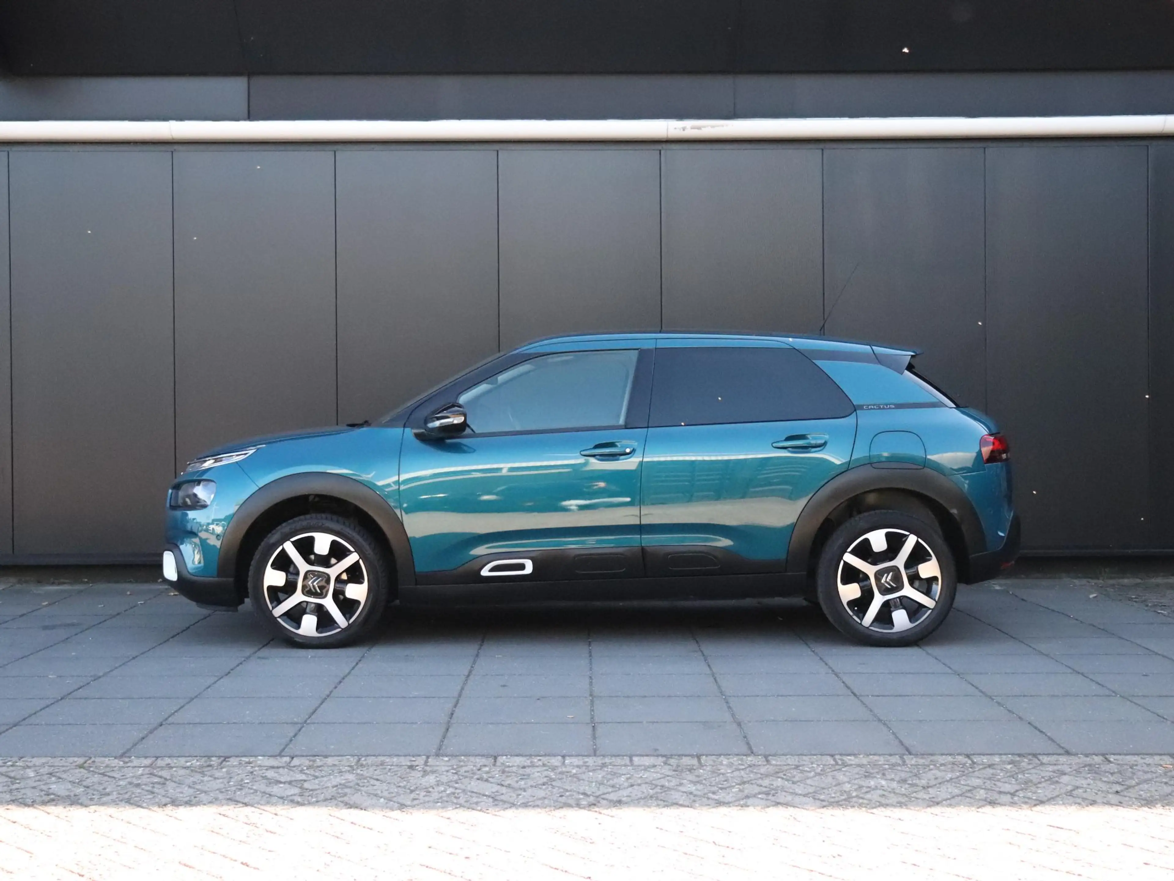 Citroen C4 Cactus 1.2 PureTech Shine | AUT. | LEDER | TREKHAAK | PAN — photo 2