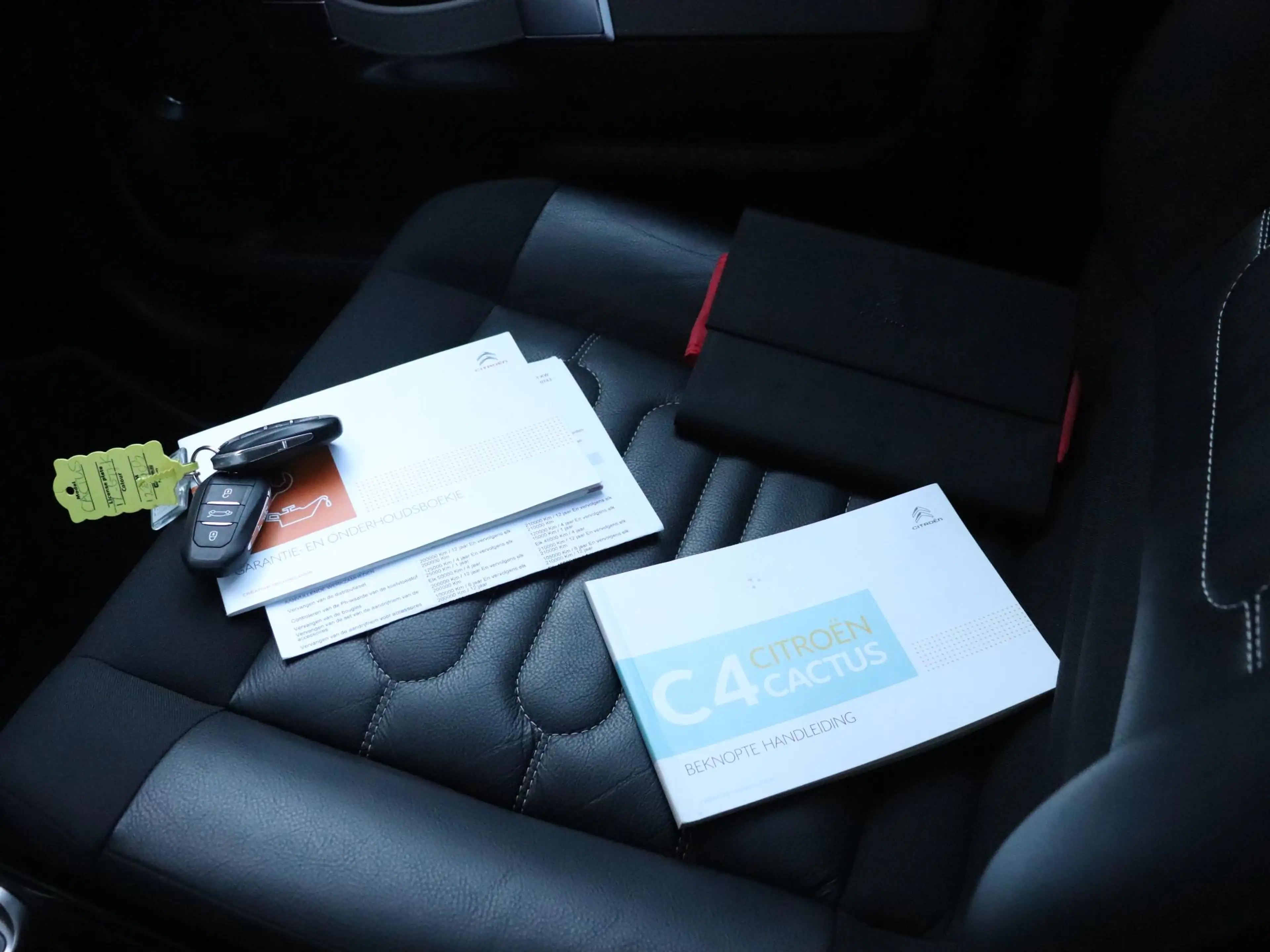 Citroen C4 Cactus 1.2 PureTech Shine | AUT. | LEDER | TREKHAAK | PAN — photo 28