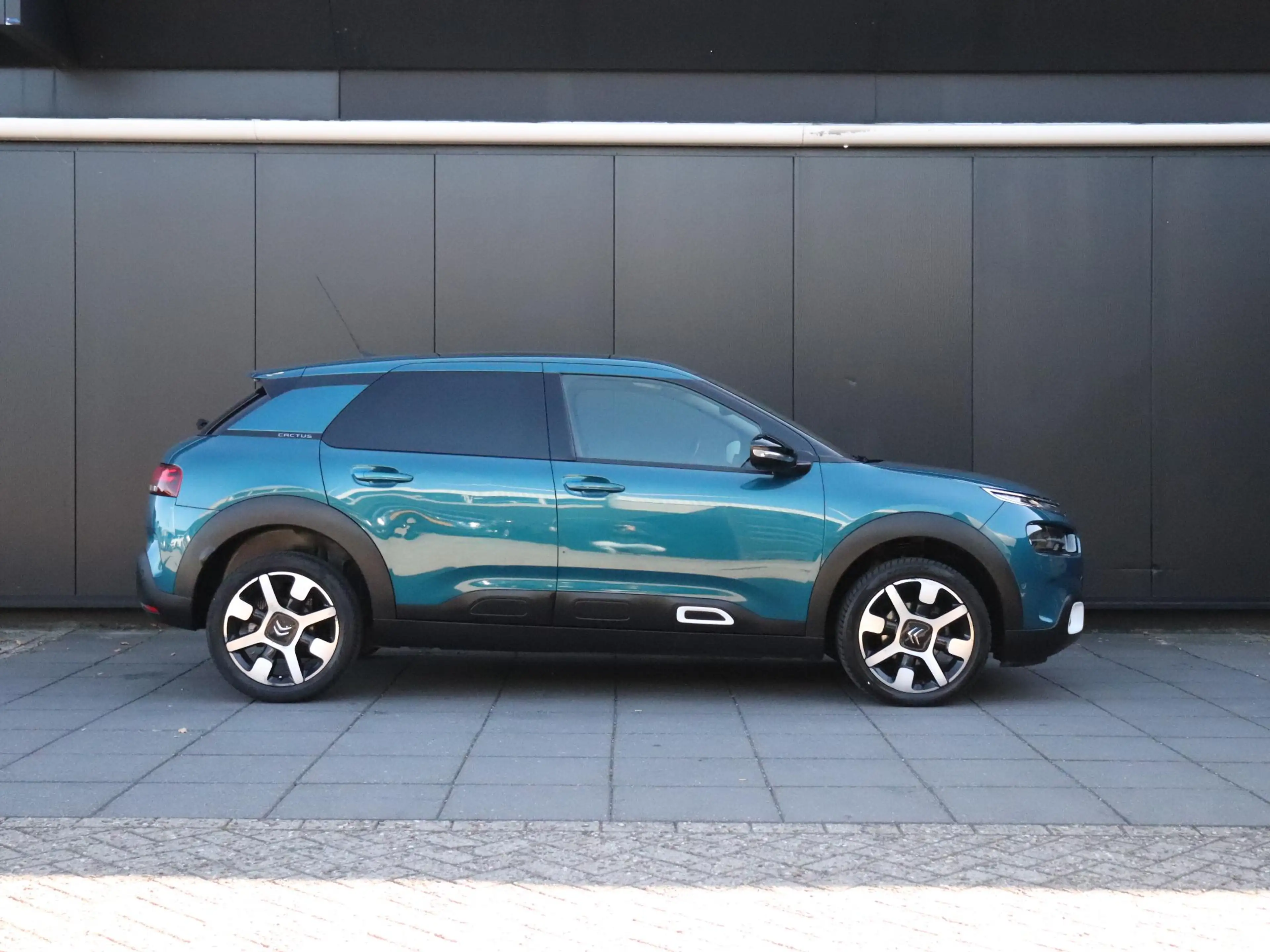 Citroen C4 Cactus 1.2 PureTech Shine | AUT. | LEDER | TREKHAAK | PAN — photo 4
