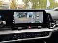 Kia Sportage Sportage 1.6 tgdi hev GT-line auto Verde - thumbnail 12