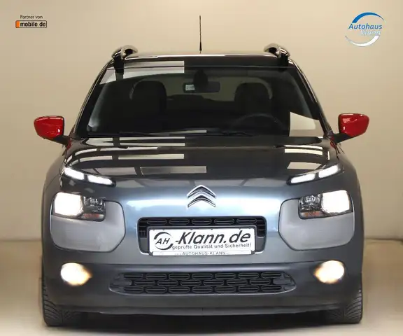 Citroen C4 Cactus view 2