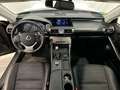 Lexus IS 300 300h Executive Tecno Noir - thumbnail 7