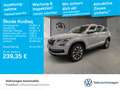 Skoda Kodiaq 2.0 TSI DSG Navi DCC LED Grau - thumbnail 1