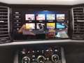 Skoda Kodiaq 2.0 TSI DSG Navi DCC LED Grau - thumbnail 9