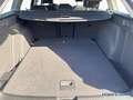 Volkswagen Golf VIII Variant 1.5 eTSI DSG LIFE HUD KAM NAVI Grau - thumbnail 6