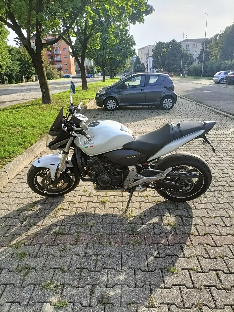 Honda Hornet Bianco - 2